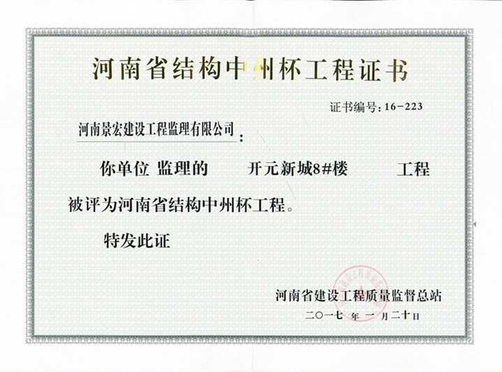 開元新城項(xiàng)目中州杯獎(jiǎng)